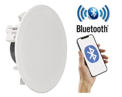 ГОВОРИТЕЛ С УСИЛВАТЕЛ И БЛУТУТ YS 501LY BT ЗА ВГРАЖДАНЕ ВЛАГОУСТОЙЧИВ