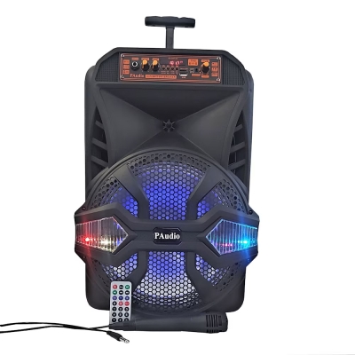 ТОНКОЛОНА 12" PA-120 FM/SD/BLUETHOOT/USB КАРАОКЕ