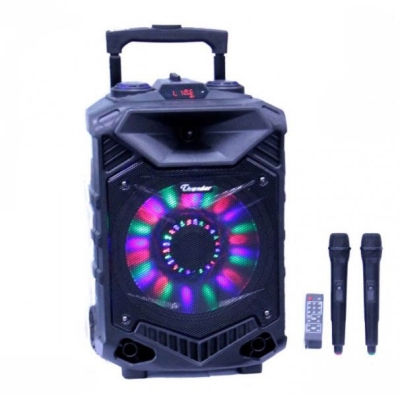 ТОНКОЛОНА 15" THUNDER NEW FM/SD/BLUETHOOT/USB КАРАОКЕ