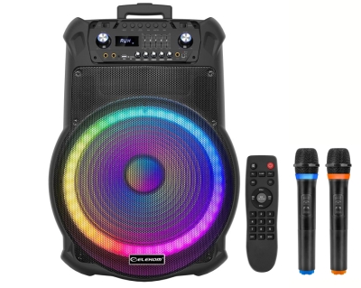 ТОНКОЛОНА КАРАОКЕ 18" EK-1819 FM/SD/BLUETHOOT/USB