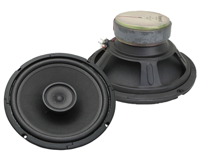 ГОВОРИТЕЛ 10" BOSS-SP1 2 WAY ROLAND