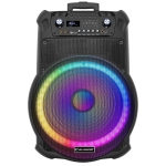 ТОНКОЛОНА КАРАОКЕ 18" EK-1819 FM/SD/BLUETHOOT/USB