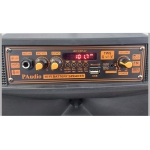 ТОНКОЛОНА 12" PA-120 FM/SD/BLUETHOOT/USB КАРАОКЕ