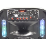 ТОНКОЛОНА 12" PA-121 FM/SD/BLUETHOOT/USB КАРАОКЕ