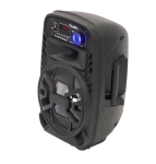 АКТИВНА ТОНКОЛОНА КАРАОКЕ 8" PA-80