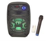 АКТИВНА ТОНКОЛОНА КАРАОКЕ 8" PA-80