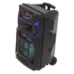 АКТИВНА ТОНКОЛОНА КАРАОКЕ 8" THS-B801