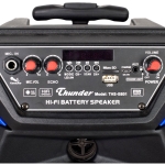 АКТИВНА ТОНКОЛОНА КАРАОКЕ 8" THS-B801