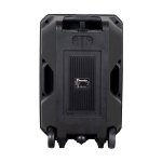 АКТИВНА ТОНКОЛОНА КАРАОКЕ 8" THS-B801