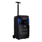 АКТИВНА ТОНКОЛОНА КАРАОКЕ 8" THS-B801