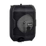 АКТИВНА ТОНКОЛОНА КАРАОКЕ 6.5" THS-B601