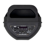 АКТИВНА ТОНКОЛОНА КАРАОКЕ 6.5" THS-B601