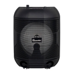 АКТИВНА ТОНКОЛОНА КАРАОКЕ 6.5" THS-B601