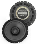 ГОВОРИТЕЛ TS-A1620