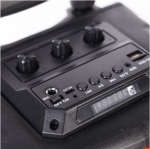 АКТИВНА ТОНКОЛОНА КАРАОКЕ 8" ZQS-8102