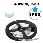 LED ЛЕНТА, 4.8WM, 6500K, 12V DC, SMD2835, 60 LEDSM, IP65